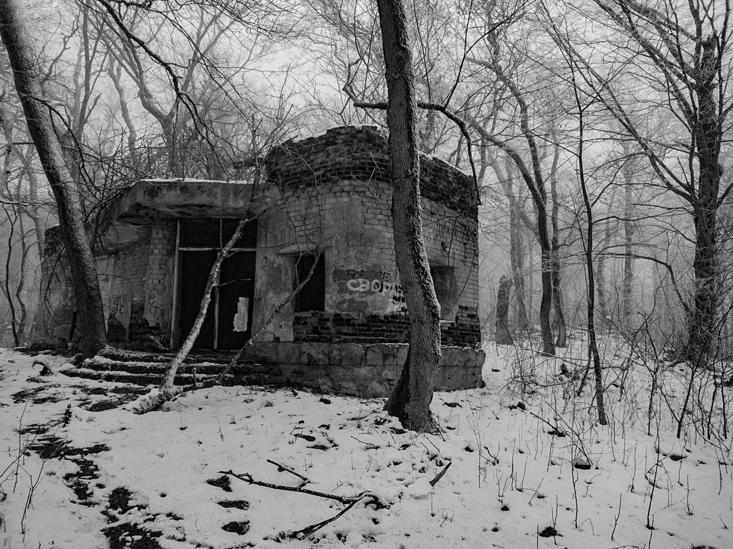 Photo #11526374