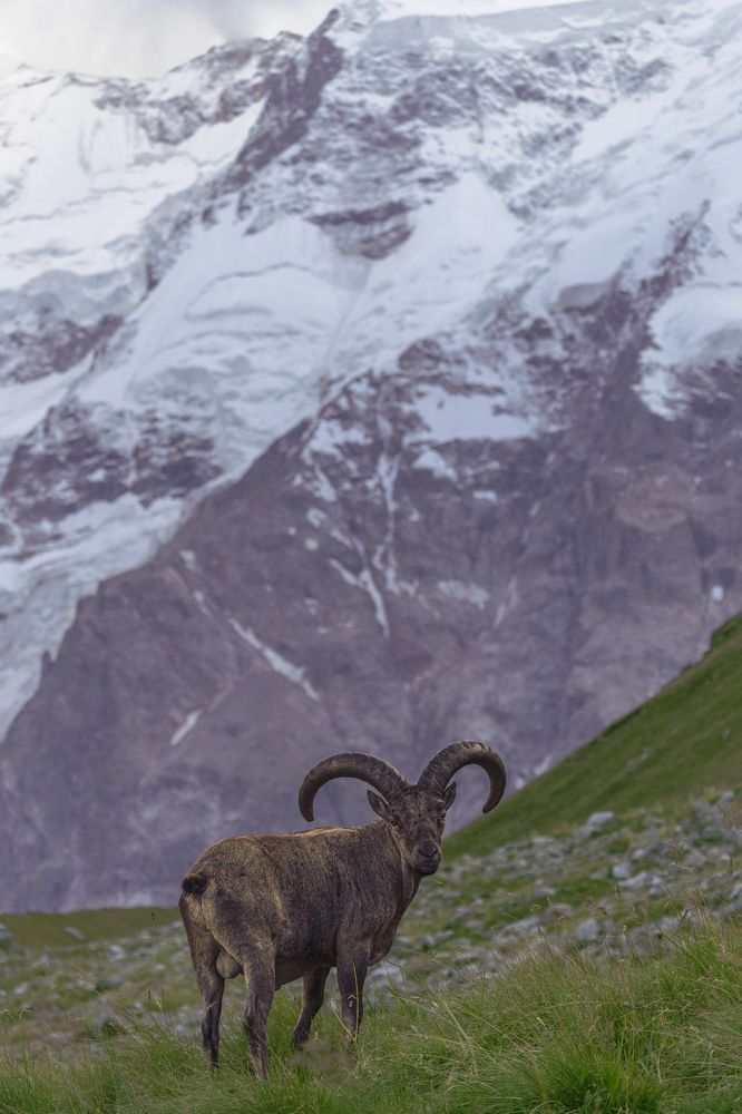 Photograph by Константин Кукушкин