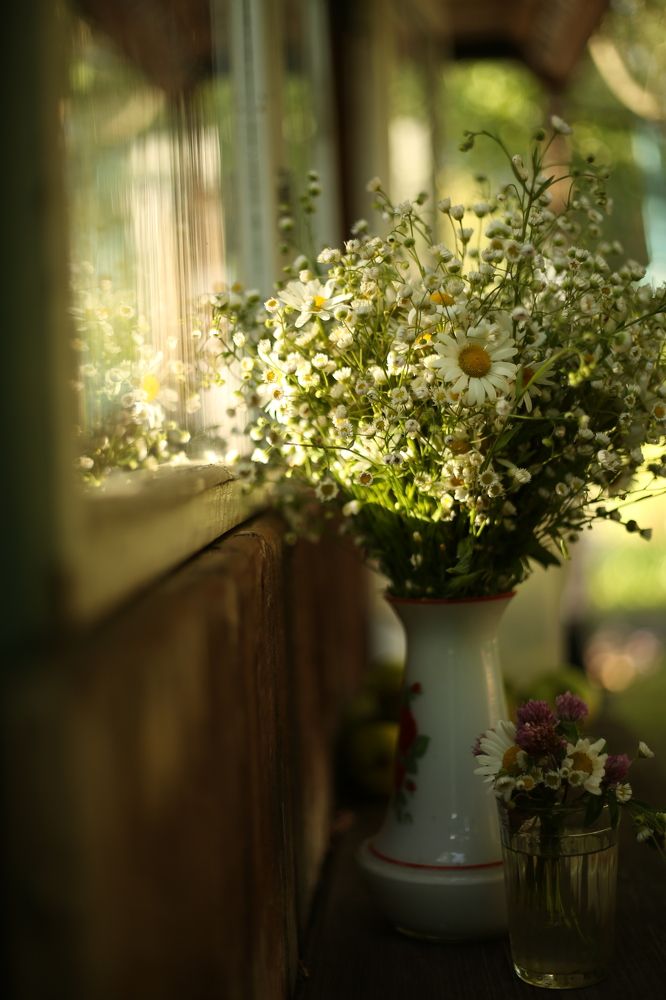 Photograph by Наталья Муравейко