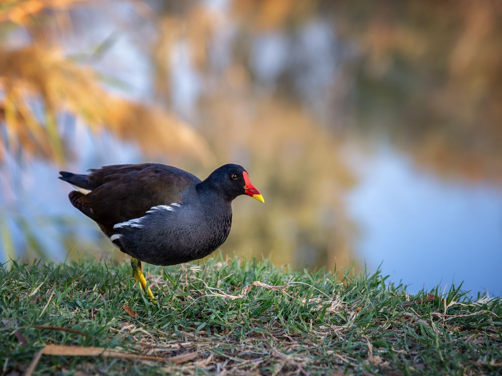 Photograph by Марина Ческис