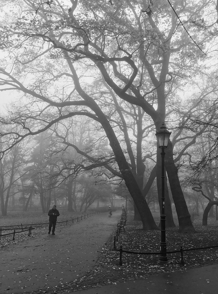 Photograph by Paulina Michałowska