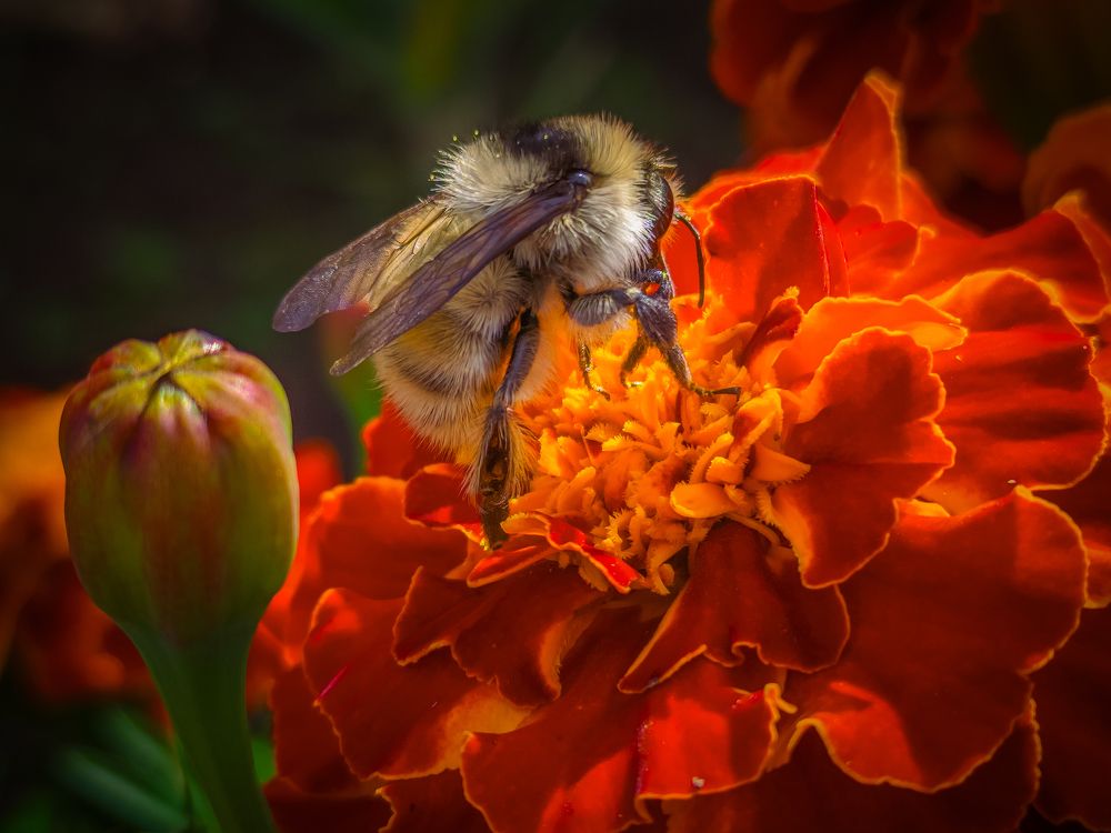 Photograph by Юлия Крюкова