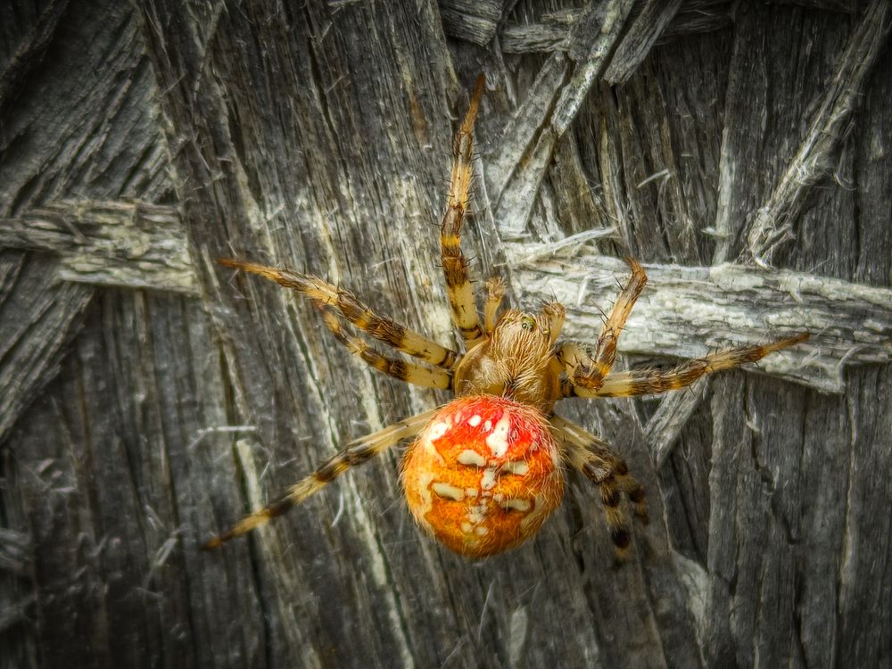 Photograph by Юлия Крюкова