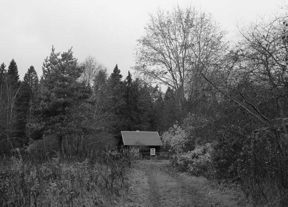 Photograph by Анастасия Бородина