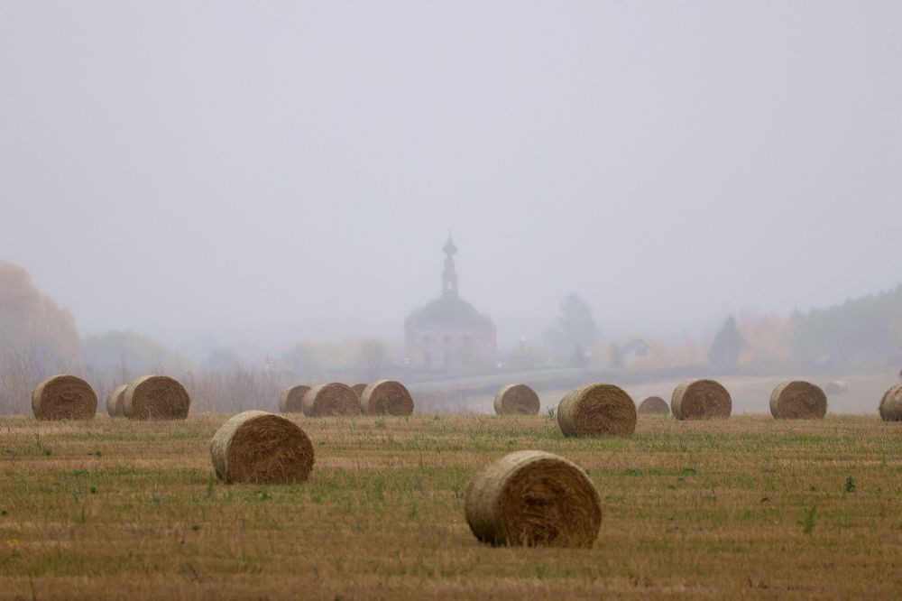 Photograph by Александр Шандов