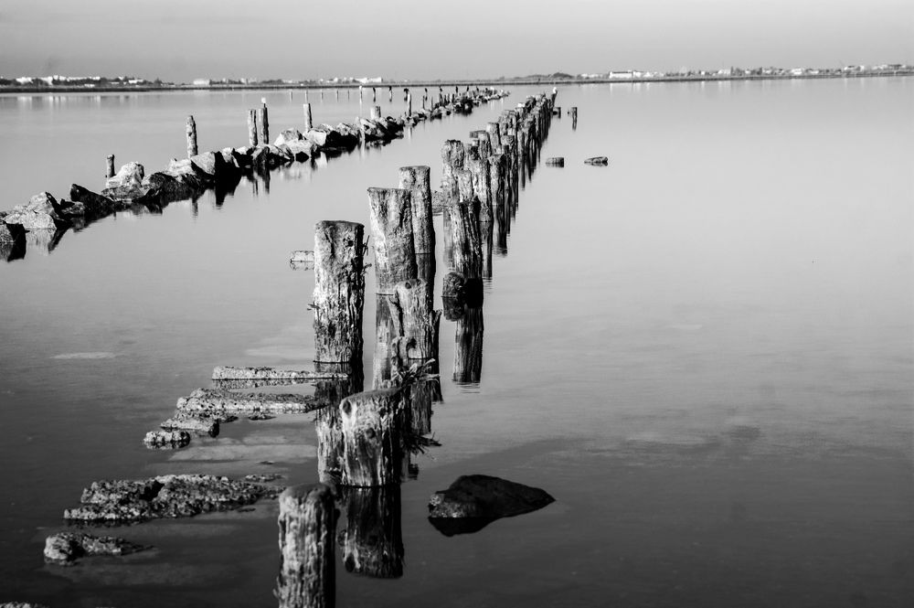 Photograph by Marina Mossiy