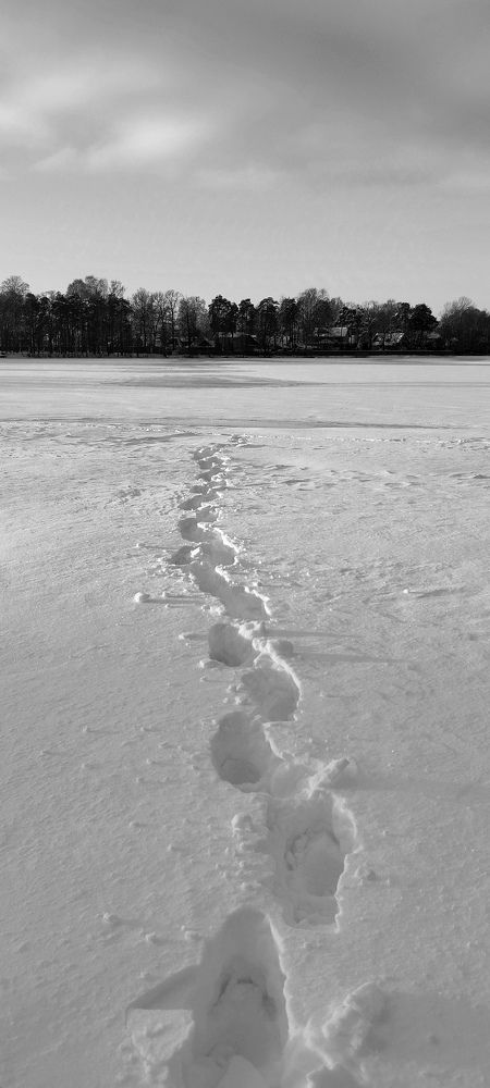 Photograph by Любовь Макарова