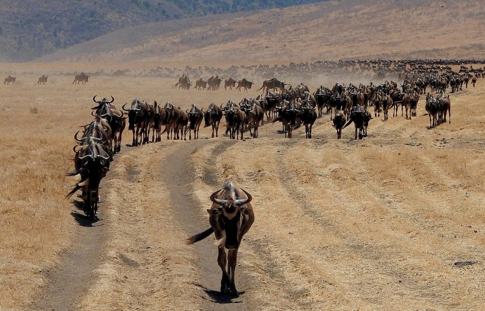 Photograph by Диана Жагрина