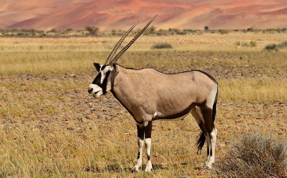 Photograph by Диана Жагрина