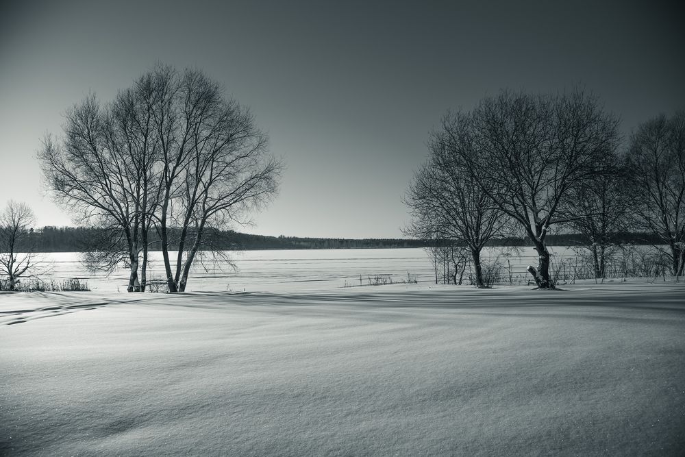 Фотография автора Войнов Дмитрий