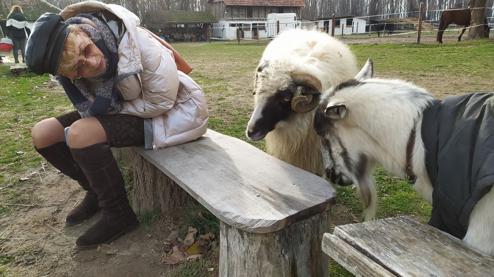 Photograph by Виктор Поверенов