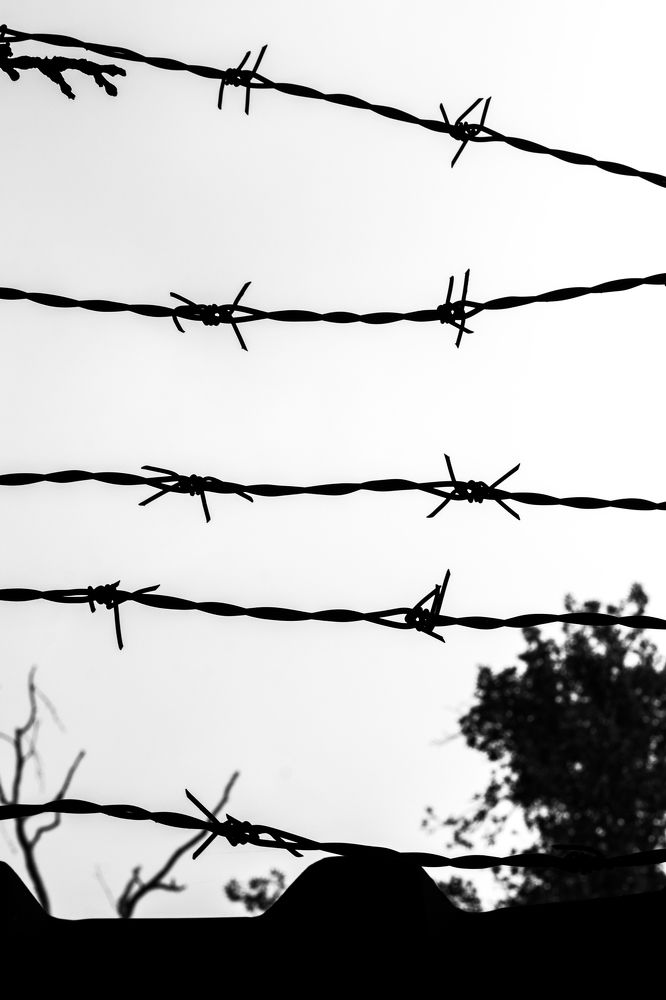 Photograph by Tina Shokri