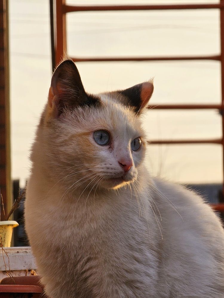 Photograph by Данил Батурин