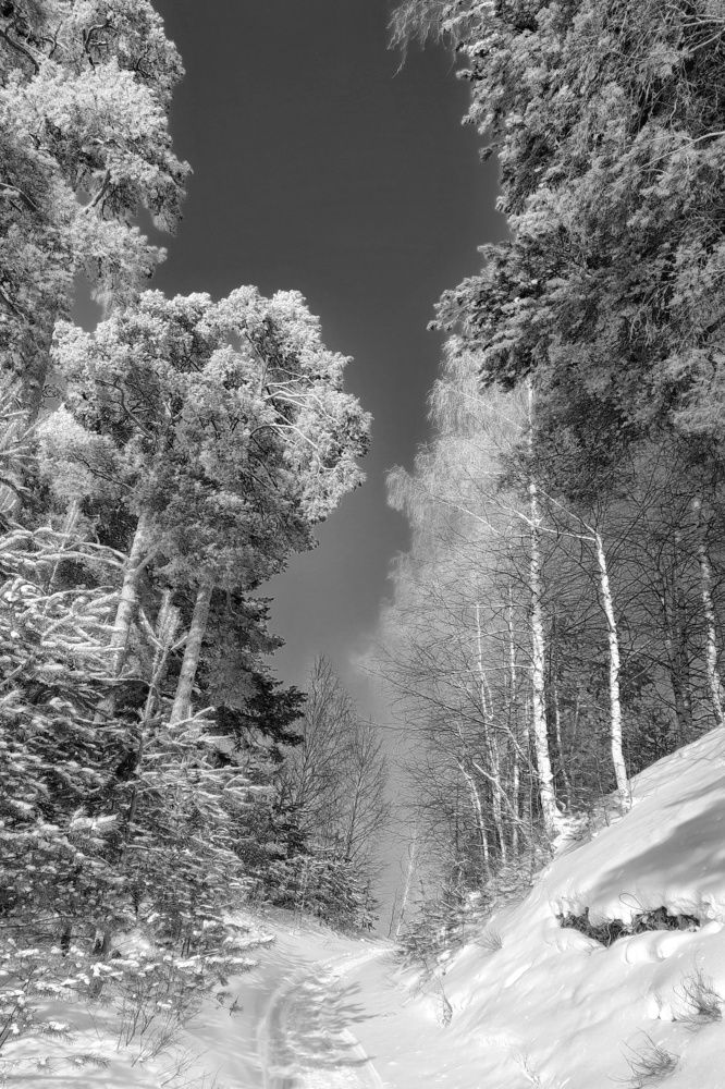 Фотография автора Тамара Караваева