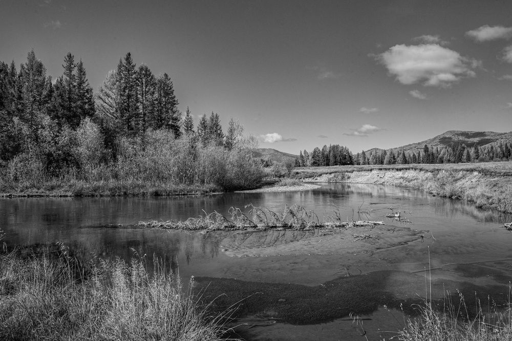 Photograph by Елена Павлова