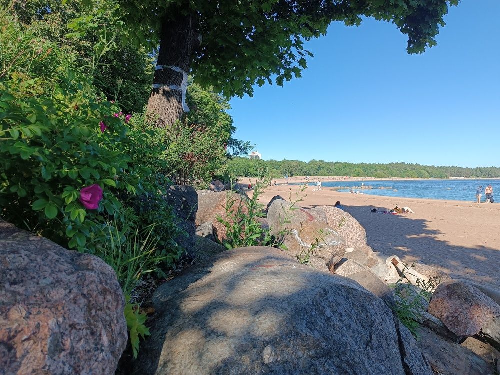 Photograph by Алла Бойко