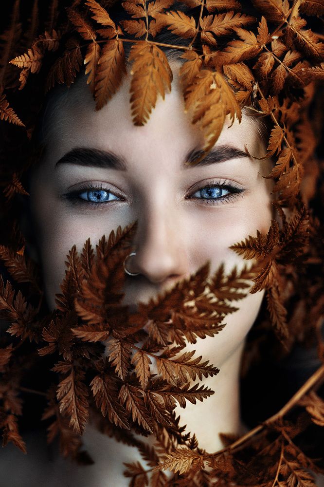 Фотография автора Александр Паничев