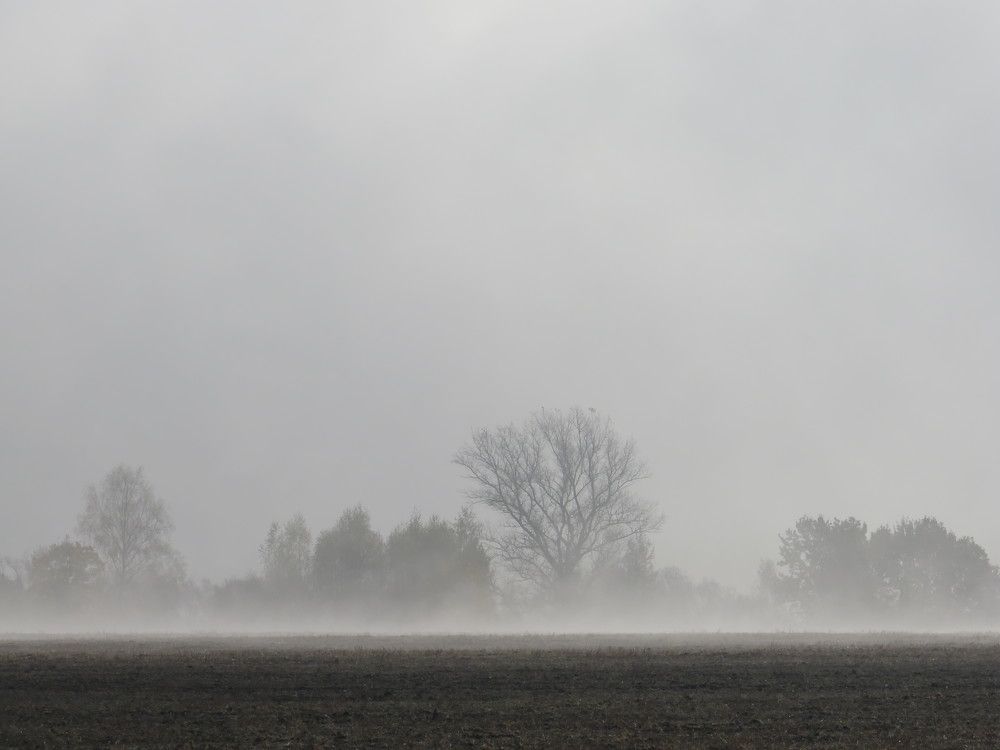 Photograph by Елена Кузина