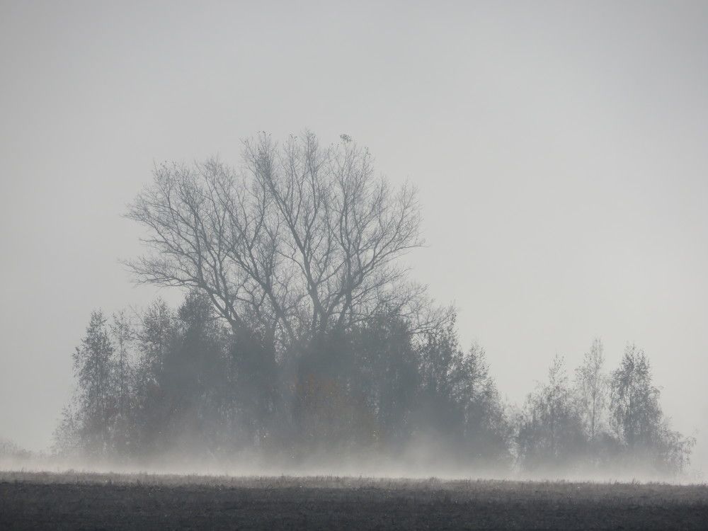 Photograph by Елена Кузина