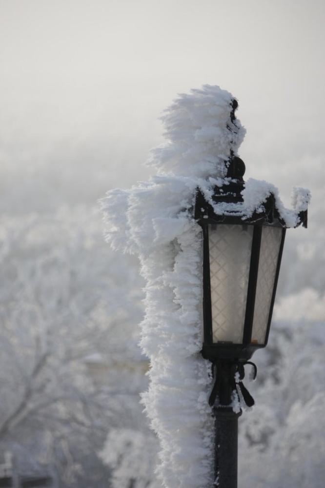 Photograph by Титова Наталья