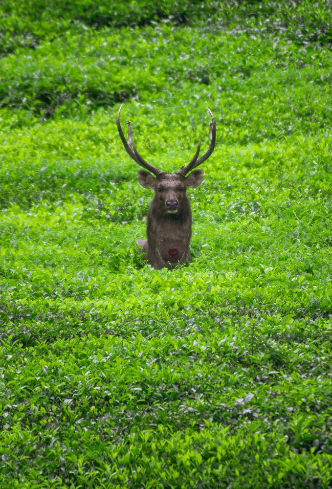 Photograph by Vivek Sundaram