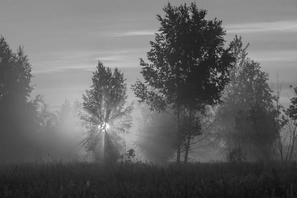 Photograph by Алексей