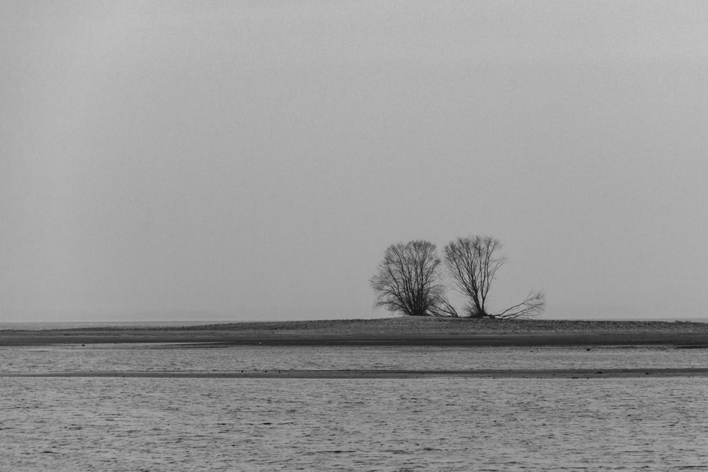 Photograph by Алексей