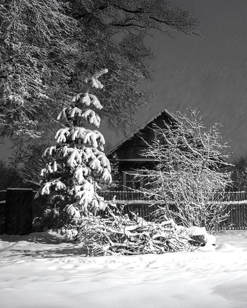 Photograph by Марина Суздаль