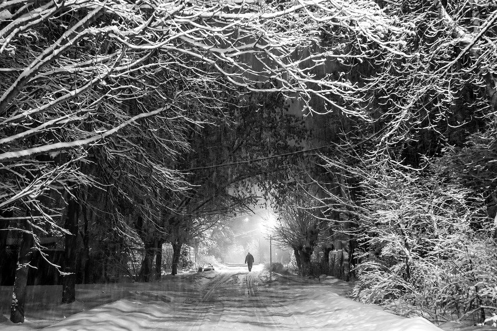 Photograph by Марина Суздаль