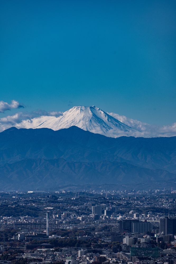 Photograph by Елена Подерегина