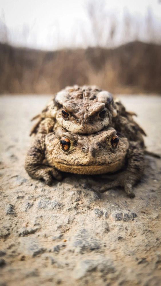 Photograph by Tatiana Kirillova