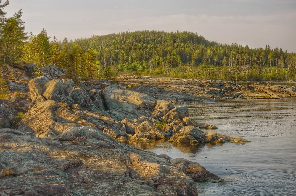 Фотография автора Галина Дорофеева