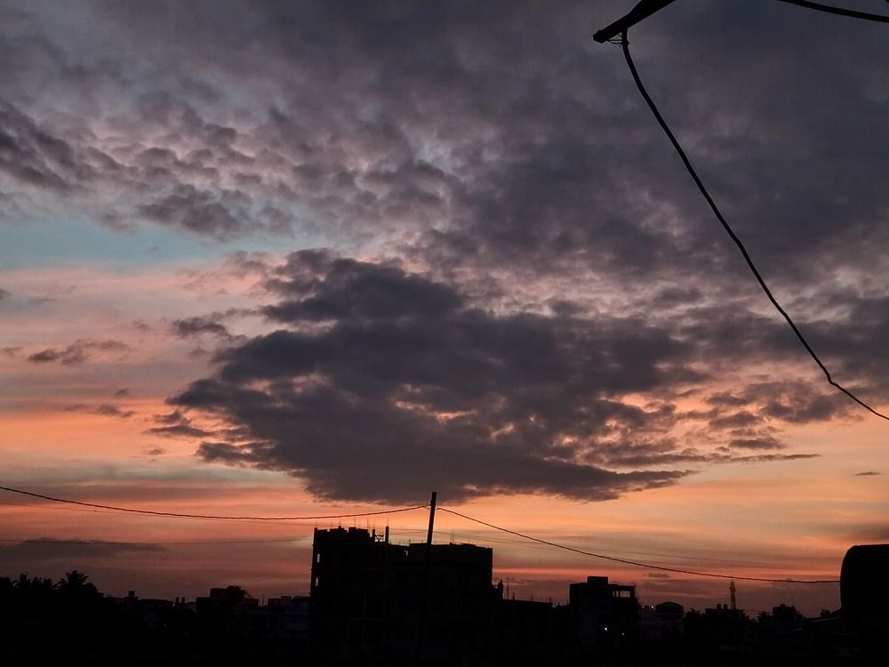 Photo #11527164