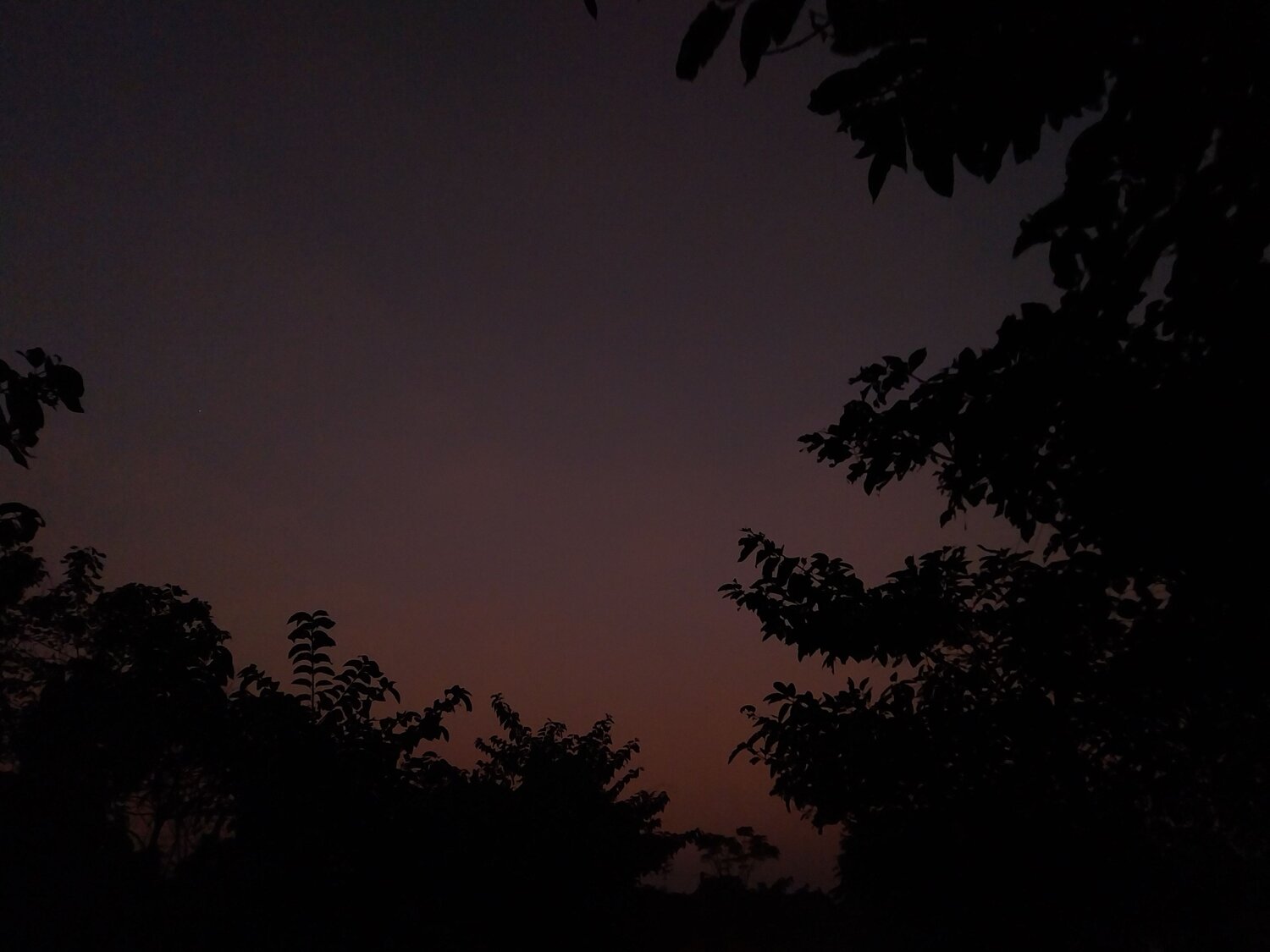 Photo #11527165