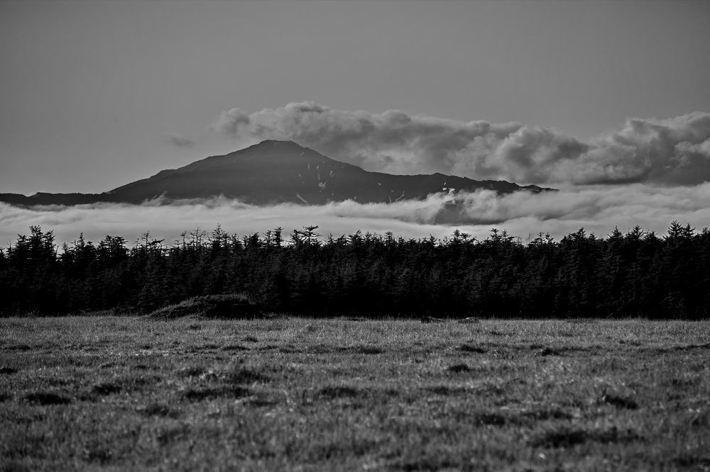 Photograph by Олег Раков