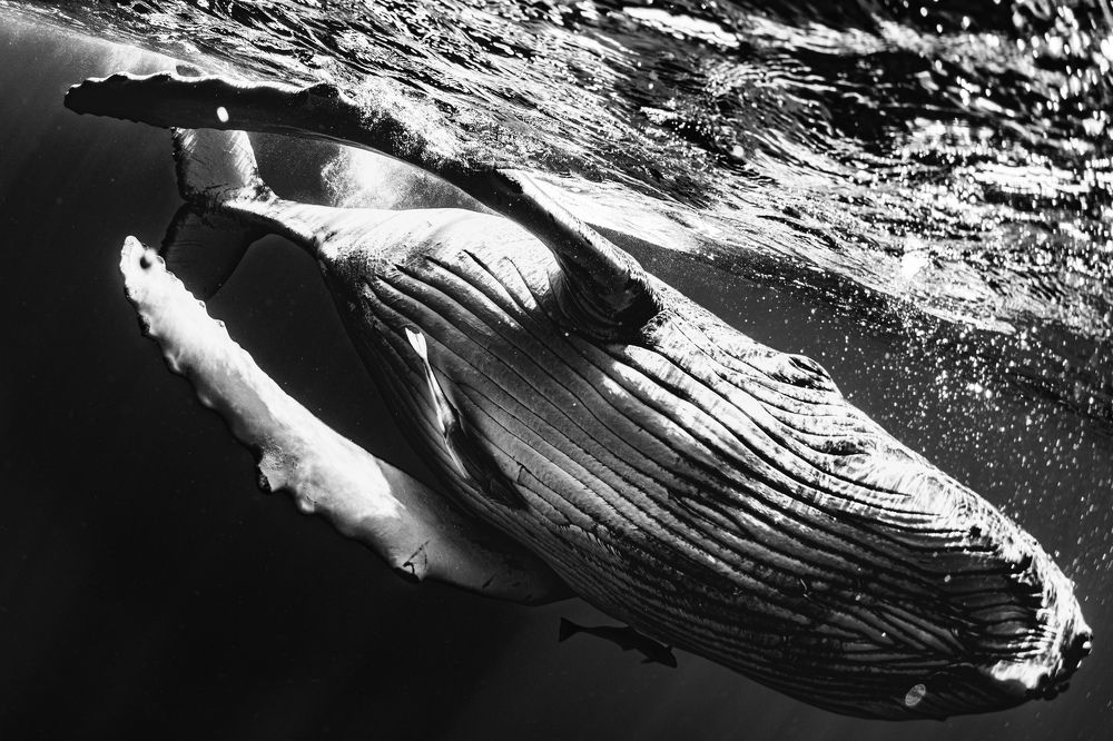 Photograph by nishijima takayuki