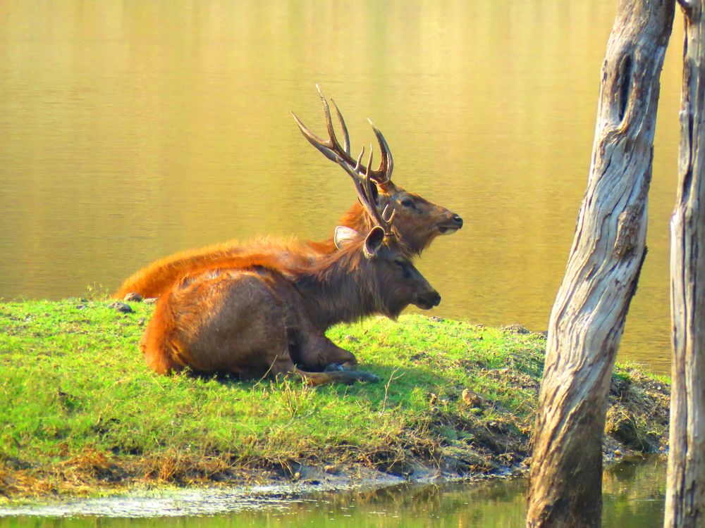 Photograph by SUCCESS LOVER