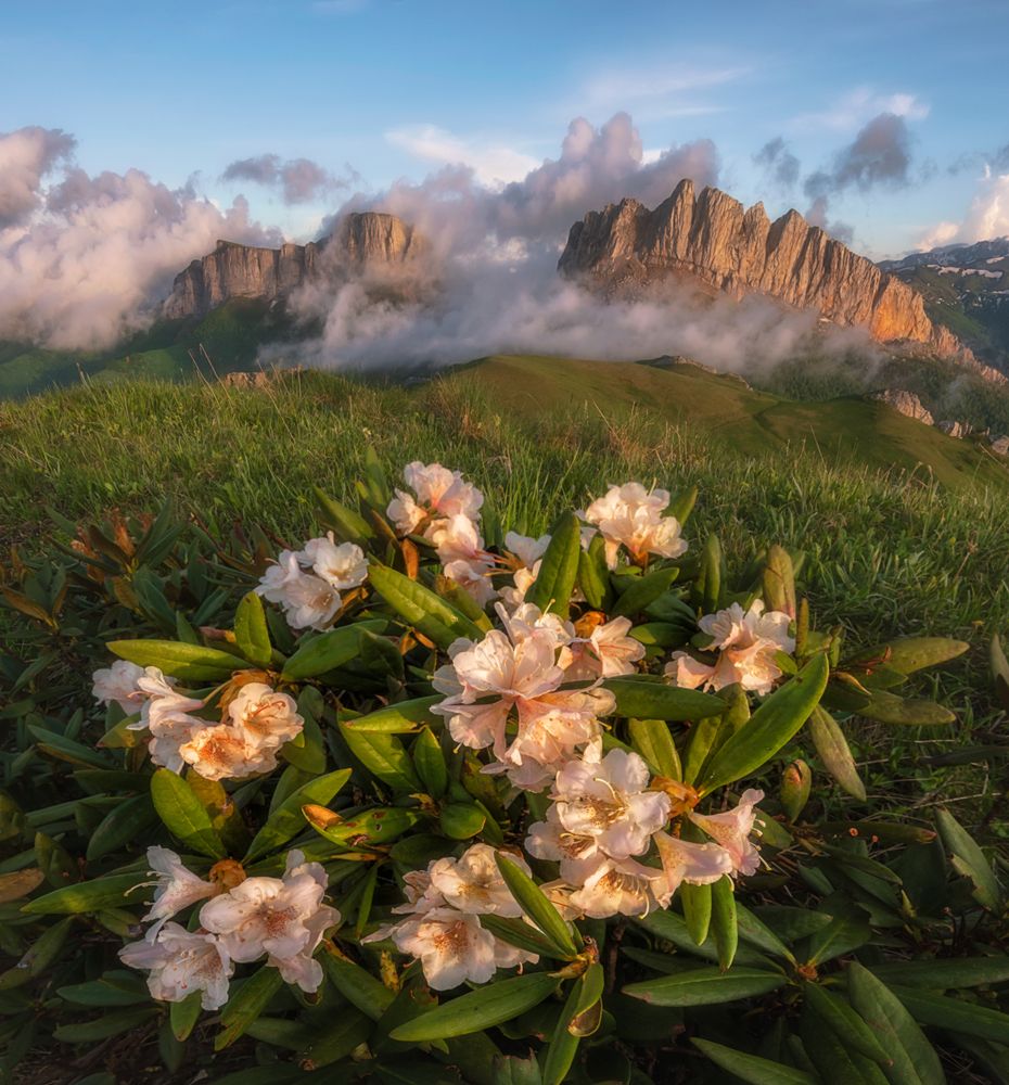 Photograph by Мысливцев Николай