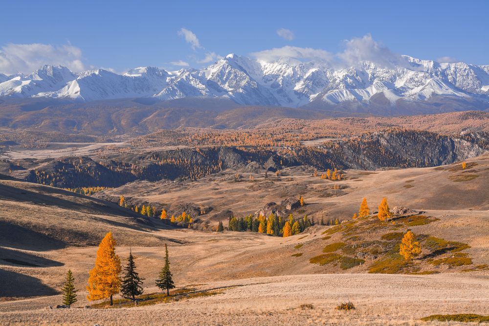 Алтайские просторы