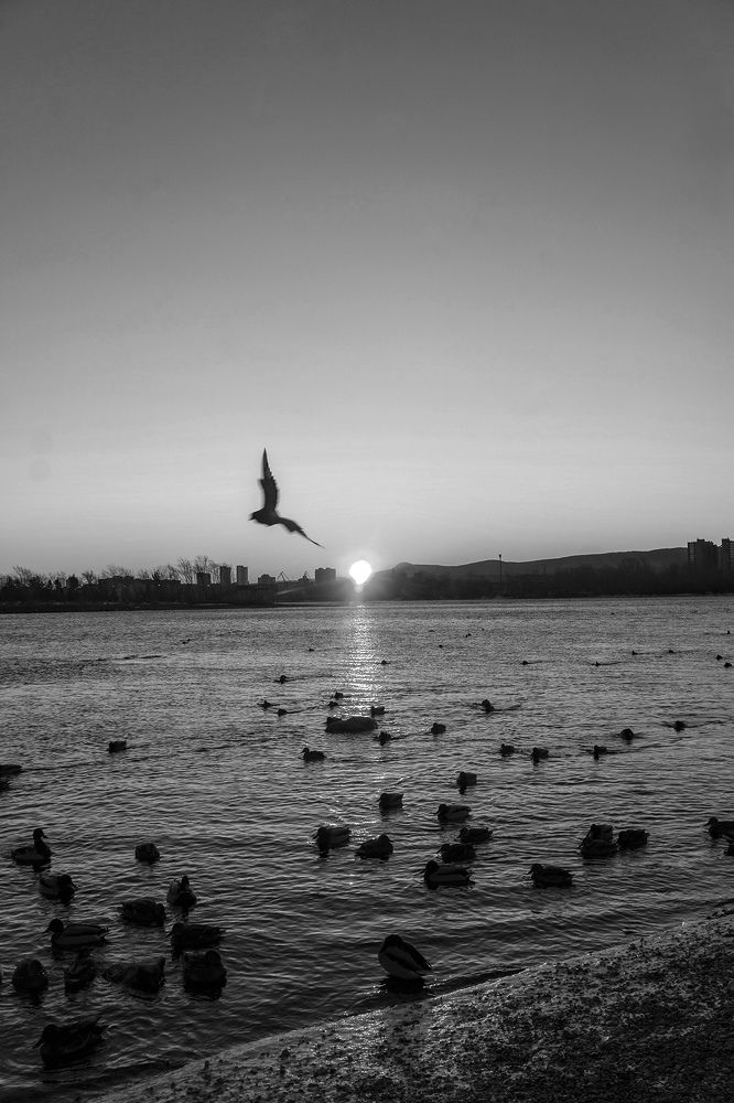 Photograph by Александр Пургин