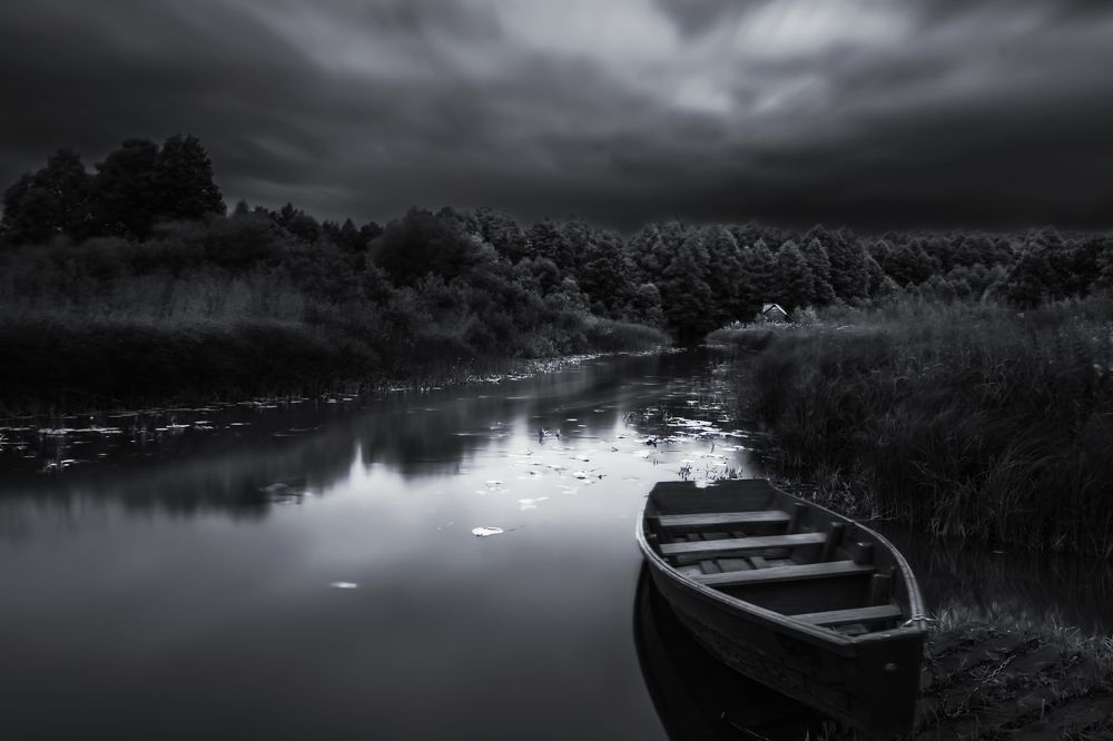 Photograph by Nephotograph