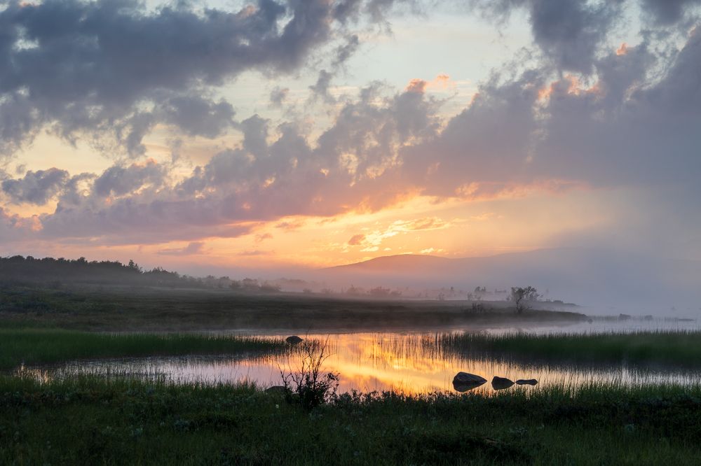 Фотография автора Андрей Русских
