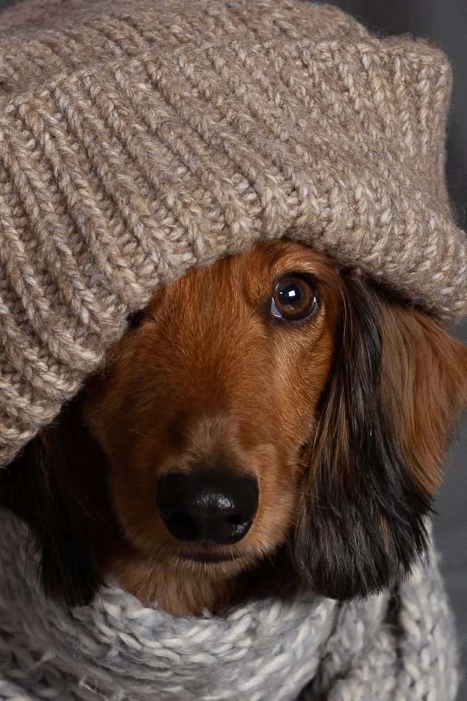 Фотография автора Алла Логинова