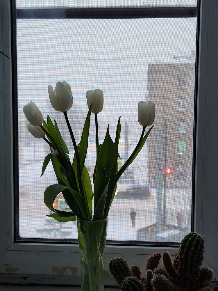 Photograph by Нонна Подольская
