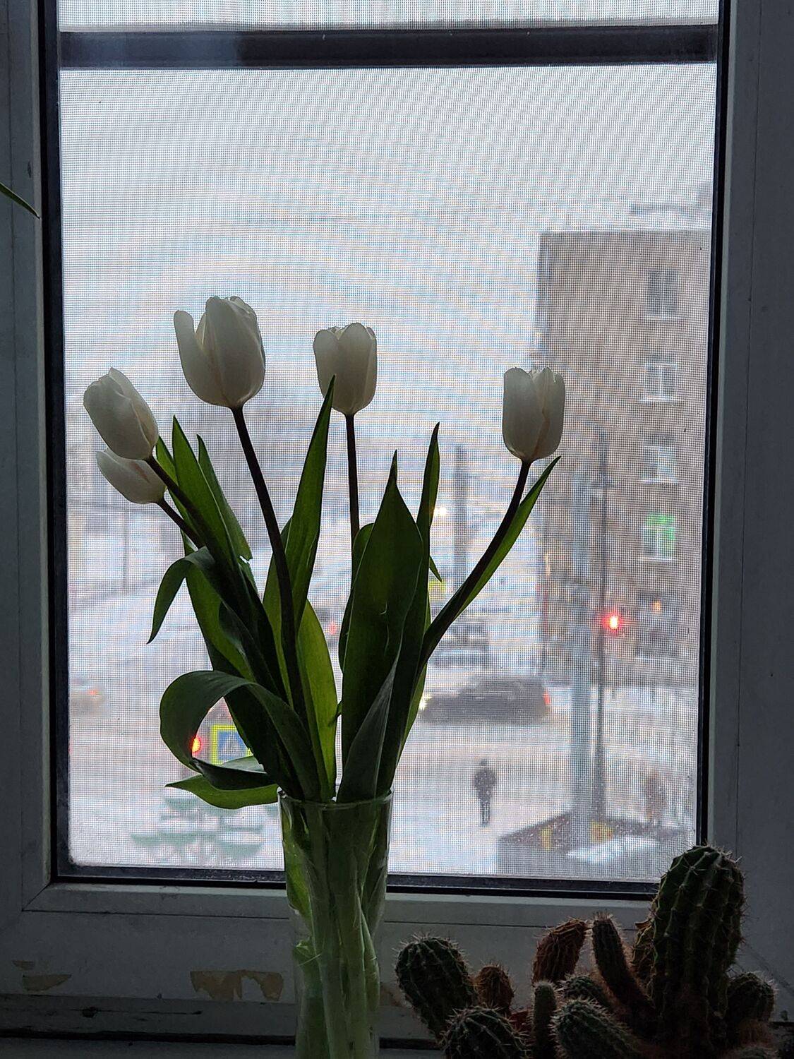 Photo #11527544