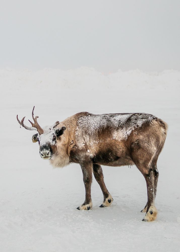 Фотография автора Konstantin Shendel