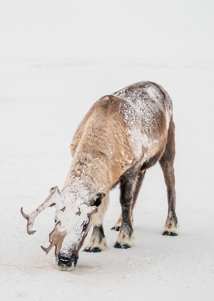 Фотография автора Konstantin Shendel