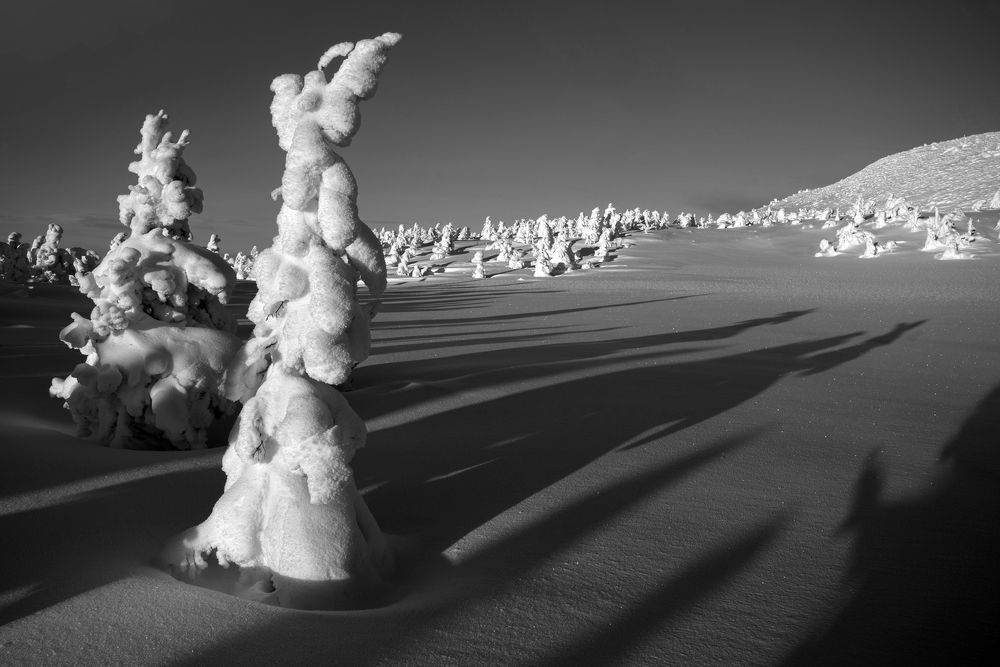 Photograph by Нерозя Александр