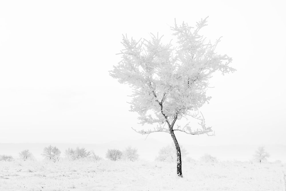 Photograph by Нерозя Александр