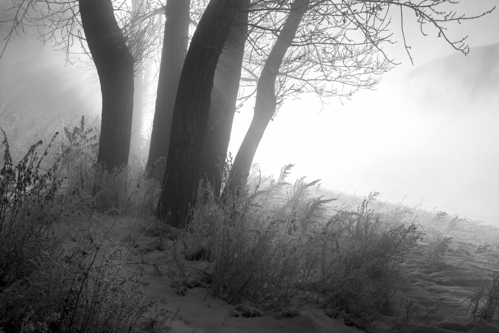 Photograph by Нерозя Александр